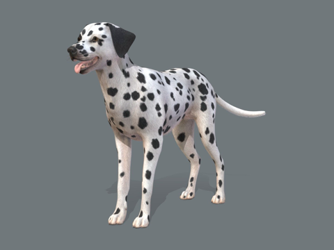 狗斑点狗v2su模型