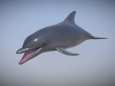  海豚su模型 