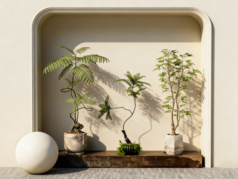  侘寂风日式简约盆栽绿植 木质台 多款陶盆蕨类 植物造景 拱形su模型 