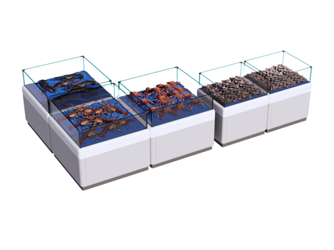  鱼池 海鲜池su模型 