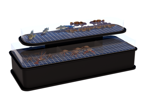  鱼池 海鲜池su模型 