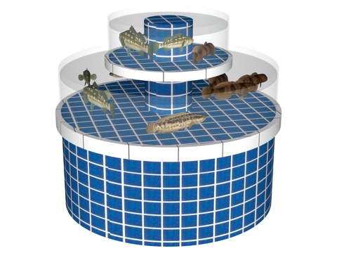  鱼池 海鲜池su模型 