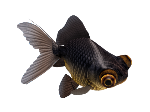 鱼 斗鱼su模型su模型