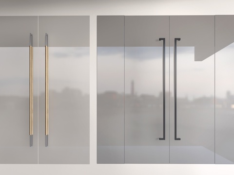 现代玻璃门 玻璃双开门 店铺玻璃门su模型