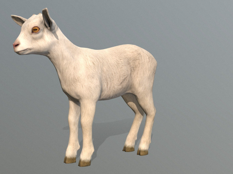 小山羊su模型