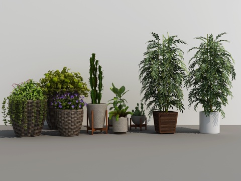  现代绿植盆栽3d模型 