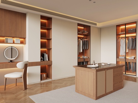 现代中古衣帽间su模型