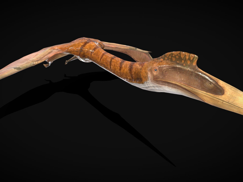 风神翼龙美国绑定su模型