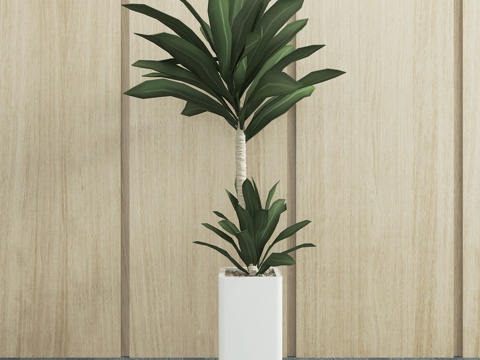 植物 盆栽 绿植3d模型 