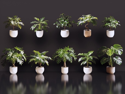 2D绿植盆栽 商场绿化 室内绿植 室内盆栽 盆栽组合 绿植照su模型