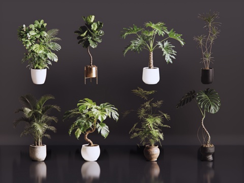 2D绿植盆栽 商场绿化 室内绿植 室内盆栽 盆栽组合 绿植照su模型