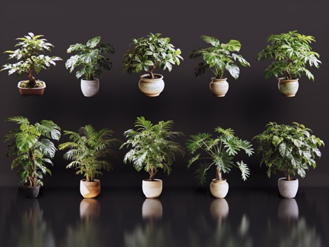 2D绿植盆栽 商场绿化 室内绿植 室内盆栽 盆栽组合 绿植照su模型