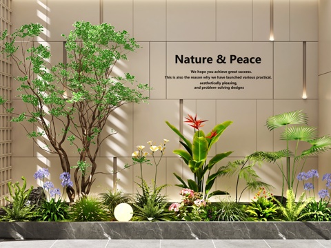 室内景观  景观造景  庭院景观   植物组合   景观树3d模型