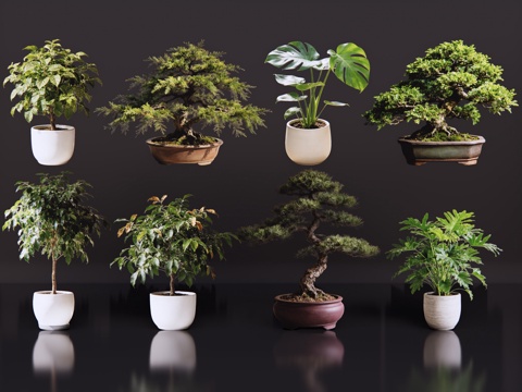 2D绿植盆栽 商场绿化 室内绿植 室内盆栽 盆栽组合 绿植照su模型