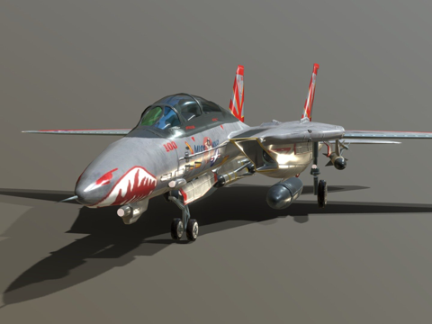 F-14雄猫战斗机su模型
