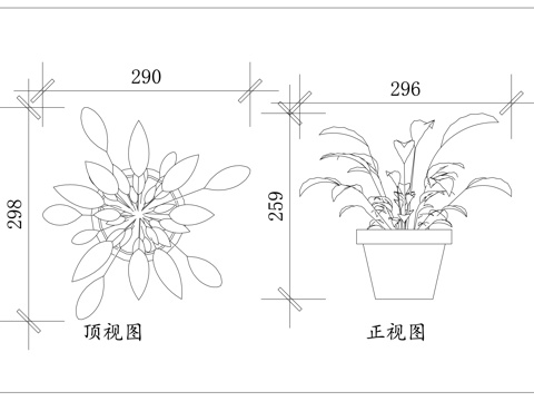 山丹 强瞿 中庭 摩罗 百合蒜cad施工图