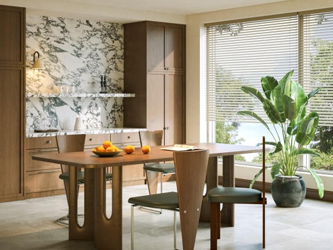 现代中古风餐厅 餐桌椅组合 长形餐桌椅 中古风餐椅 盆栽 单su模型