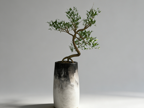 新中式禅意盆景su模型