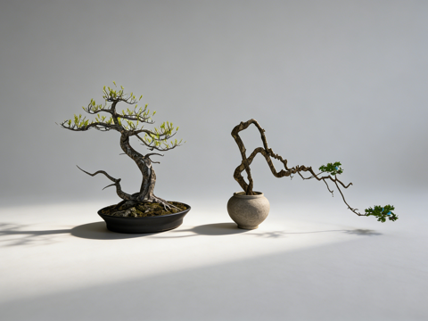 禅意盆景su模型