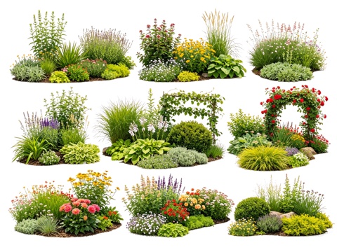 2D花境植物组团 花卉花镜 花草镜植物组合 花草花丛 地被su模型