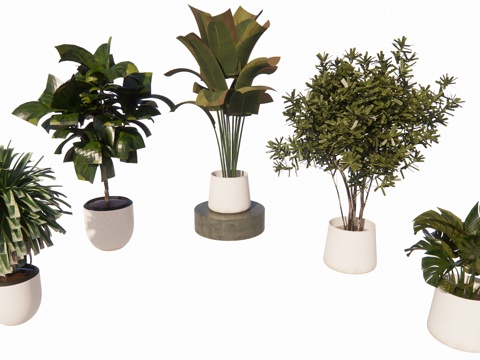 盆栽景观绿植su模型