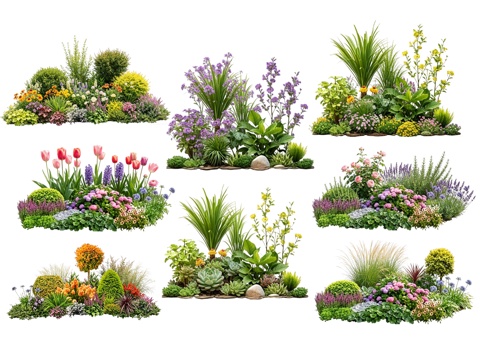 2D花境植物组团 花卉花镜 花草镜植物组合 花草花丛 地被su模型