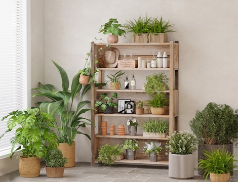 现代植物摆设组合 原木植物装饰柜 花架盆栽组合su模型