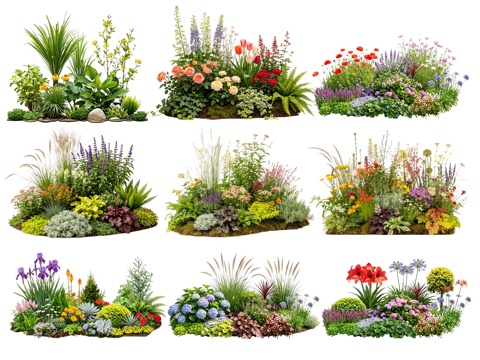 2D花境植物组团 花卉花镜 花草镜植物组合 花草花丛 地被su模型