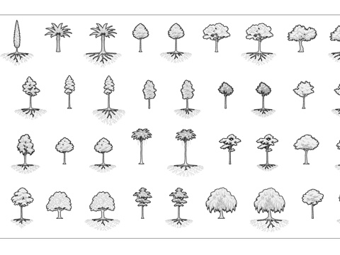 有根植株 宿根植物 带根草木 根系绿植 植根草木cad施工图