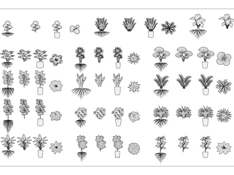 带根盆栽 有根绿植 原根盆栽 带根花植 宿根盆栽cad施工图
