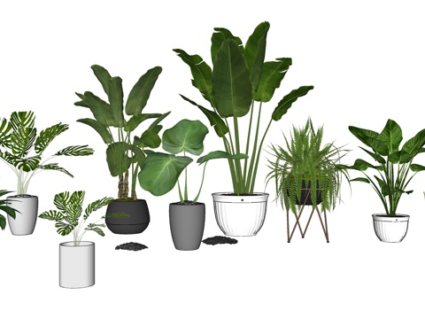 盆栽景观绿植su模型