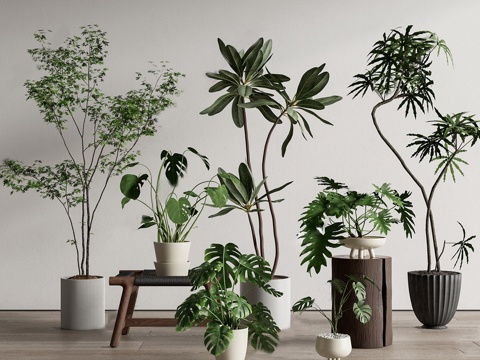 绿植盆栽 盆景 组合su模型