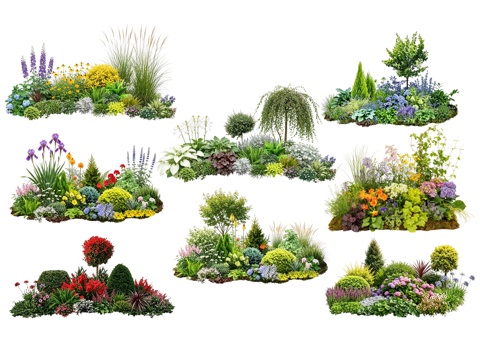 2D花境植物组团 花卉花镜 花草镜植物组合 花草花丛 地被su模型