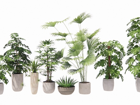 盆栽景观绿植su模型