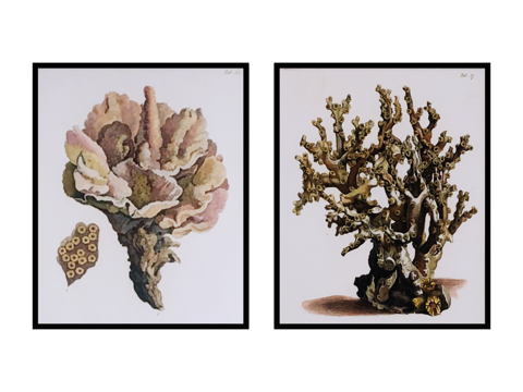 挂画 装饰画su模型