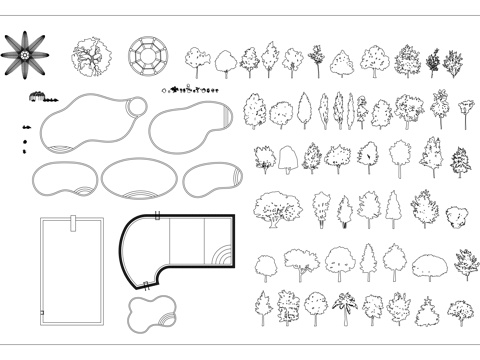 绿化植物 造景绿植 园林植物 景观绿植 庭院绿植cad施工图