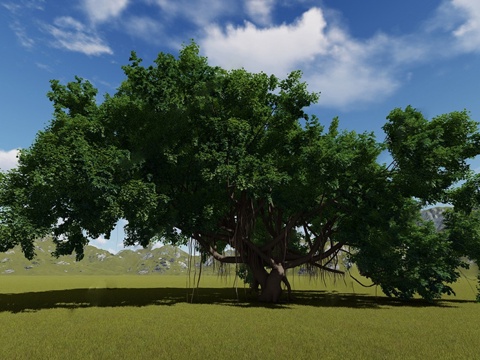 现代古树 枯藤老树昏鸦su模型