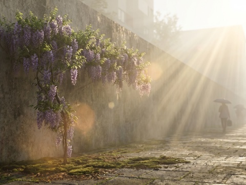 花朵  藤蔓  牵牛花su模型