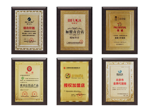 墙饰 奖牌su模型