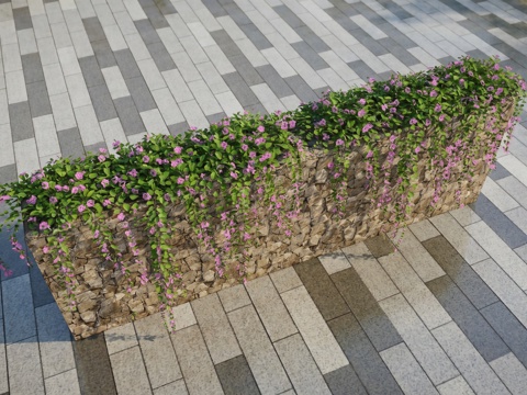 花朵  藤蔓  牵牛花su模型