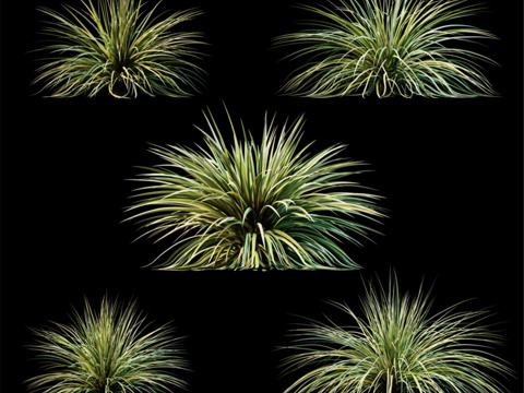 户外植物 v33d模型