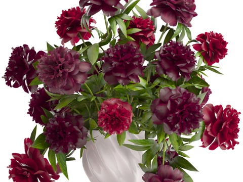 牡丹花束。38. 牡丹， 牡丹花束3d模型