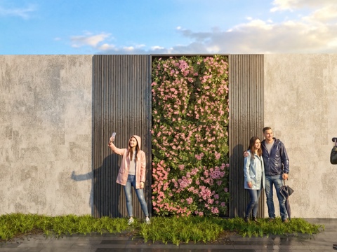 花朵  藤蔓  牵牛花  花架  花箱 绿植墙su模型