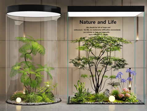 室内景观 植物造景 景观树 植物花草组合 植物堆3d模型