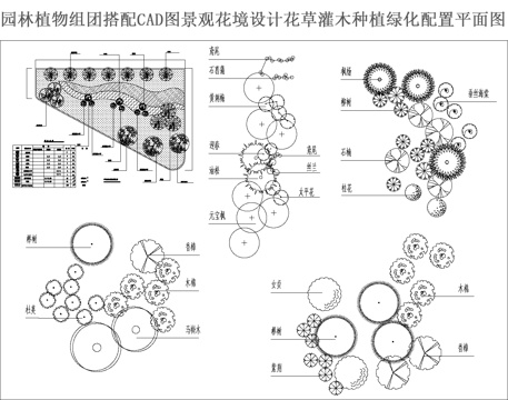 园林植物组团搭配CADcad施工图