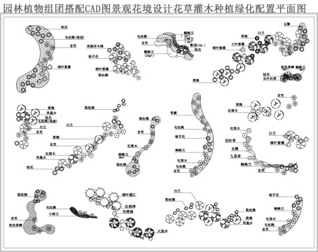 园林植物组团搭配CADcad施工图