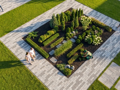 景观植物  绿篱  乔木  灌木su模型