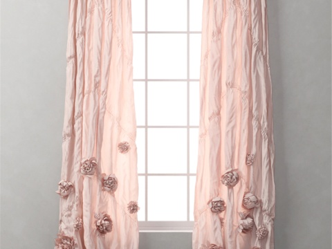 RH 水洗贴花 Fleur 窗帘3d模型