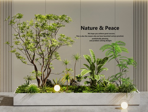 室内景观 植物造景 景观树 植物花草组合 植物堆su模型