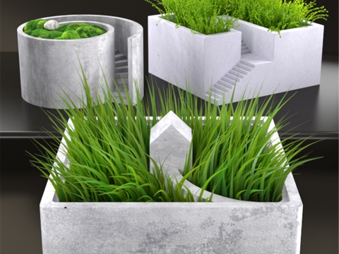  盆栽草3d模型 